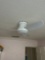 Three Blade Modern Ceiling Fan with Light