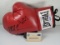Mike Tyson Evander Holyfield signed autographed Boxing Glove Steiner COA