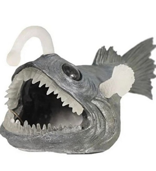 Angler Fish