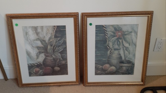 Matching Framed prints of plants