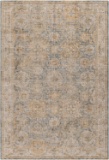 Surya Naila Polyester 4' x 6' Rectangle Area Rugs With Sage Finish IAL2307-46