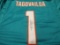 Tua Tagovailoa of the Miami Dolphins signed autographed football jersey PAAS COA 598