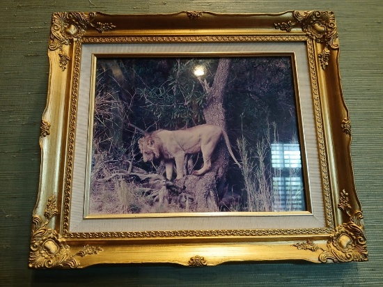 LARGE Decorative Wild Life Picture in Frame