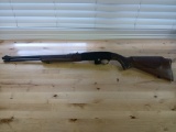 WINCHESTER .22 L or LR Rifle / PERFECT Starter License Model # 290