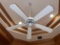 Hunter Fan 5 Blade