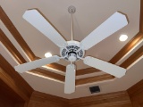 Hunter Fan 5 Blade