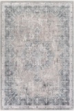 Surya Solar Viscose And Acrylic 3' x 9'10