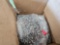 Large Nuts and Bolts Lot