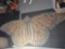 12' Butterfly Rug