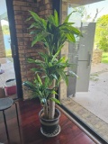 Live Planter with Contents