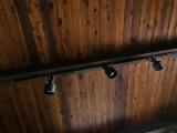 Three Bulb Track Lighting