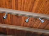 Three Bulb Track Lighting