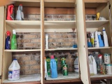 Three Shelf Lot