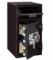 Sentry Depository Safe