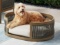 NEW Ember Woven Pet Bed
