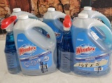 Cleaning Lot - Windex