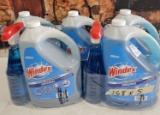 Cleaning Lot - Windex