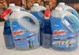 Cleaning Lot - Windex