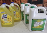 Cleaning Lot - Lysol & Simple Green