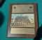 Pittsburgh Steelers 1975 Super Bowl Champion-Team Photo Plaque