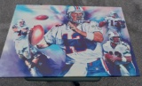 Dan Marino Art Piece - small issue