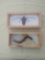 Brown Cicada and Centipede in Display Cases