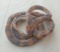 Baby Snake -ready to Strike - Full Snake