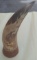 Hand Carved Dragon on Horn with wooden Mount
