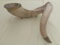 Sheep's Horn Ashtray / Candleholder