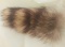 raccoon tail
