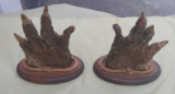 Reptilian Claw on Wooden Mount