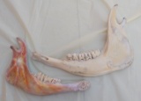 Lower jar bone