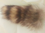 raccoon tail