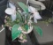 Flower Centerpiece