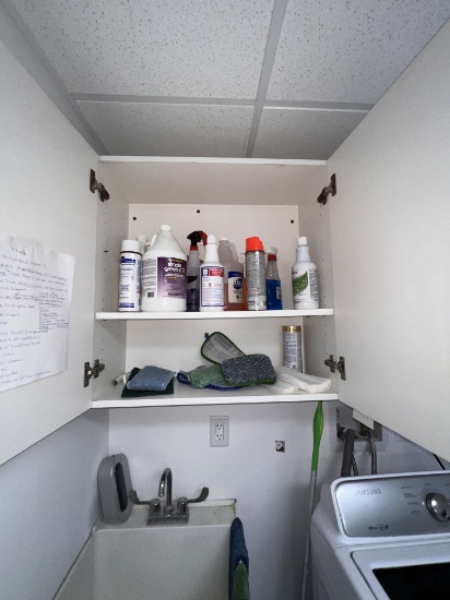 Assorting Cleaning Supplies