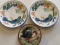 Hand-Painted Decorative Plates with Rooster Design