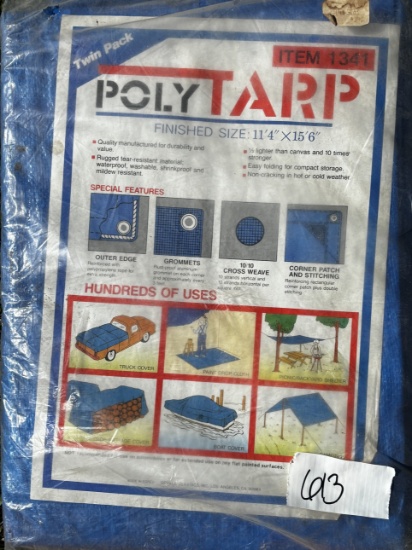 Blue Poly Tarps - Twin Pack