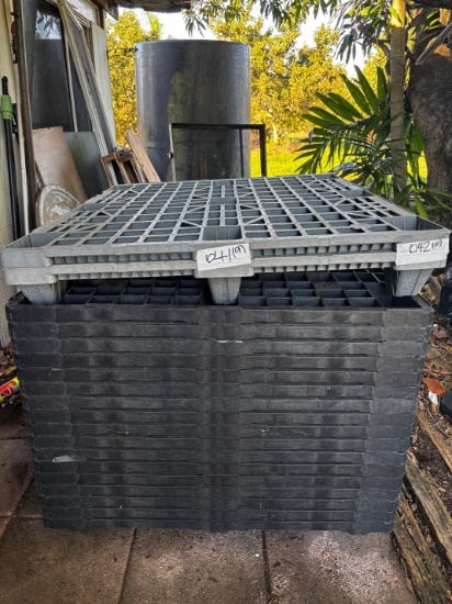 Plastic Pallets (3'x4')