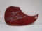 Zach Bryan signed autographed guitar pick guard PAAS COA 026