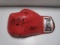 Mike Tyson Buster Douglas signed autographed boxing glove PAAS COA 830