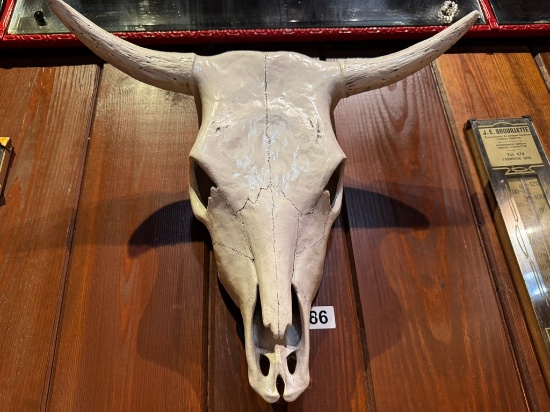 12" Skull