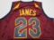 LeBron James of the Cleveland Cavaliers signed autographed basketball jersey TAA COA 447