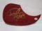 Dickey Betts signed autographed guitar pick guard PAAS COA 650