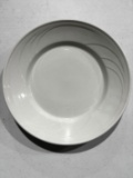 Syracuse China 10.5