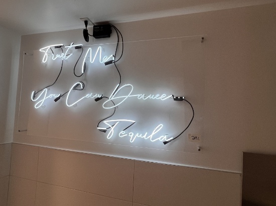 Neon Sign, 30" X 53" with Transformer and Lucite Frame, (Ladiers Bathroom)