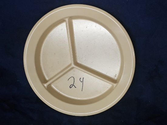 BRAND NEW CarlyWare Melamine Plates