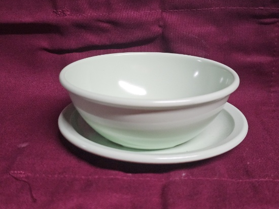 BRAND NEW Set of Melamine Bowl & Saucer