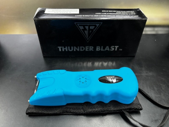 Self Defense Stun Gun & LED Flashlight