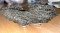 Geo Stone
