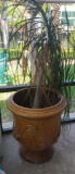 Roman Themed Pot with Live Plant - 26 in